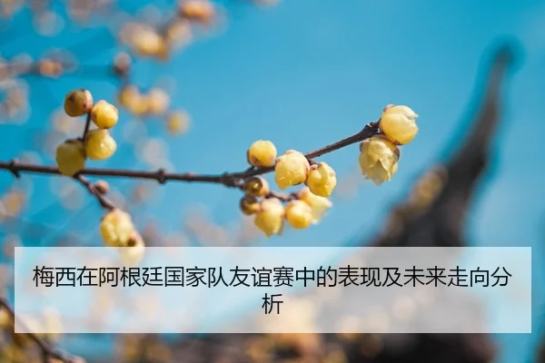 mei-xi-zai-a-gen-ting-guo-jia-dui-you-yi-sai-zhong-de-biao-xian-ji-wei-lai-zou-xiang-fen-xi-2-728.jpg