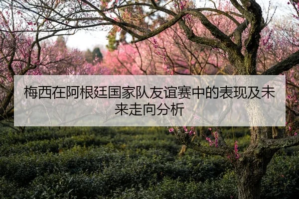 梅西在阿根廷国家队友谊赛中的表现及未来走向分析