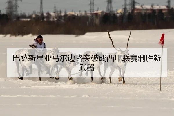 ba-sa-xin-xing-ya-ma-er-bian-lu-tu-po-cheng-xi-jia-lian-sai-zhi-sheng-xin-wu-qi-2-387.jpg