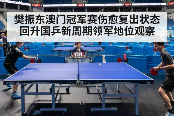 樊振东澳门冠军赛伤愈复出状态回升国乒新周期领军地位观察
